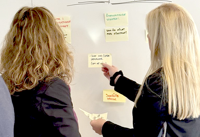 Project Governance